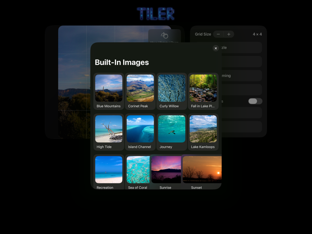 Image browser screenshot placeholder